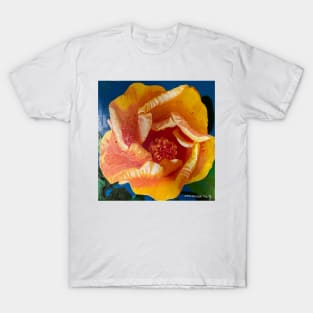 Orange-Yellow Chinese Hibiscus T-Shirt